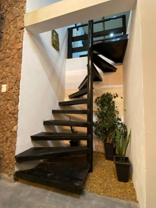Manipa Loft Διαμέρισμα Cafayate Εξωτερικό φωτογραφία